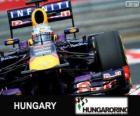 Sebastian Vettel - Red Bull - Macaristan Grand Prix 2013, sınıflandırılmış 3